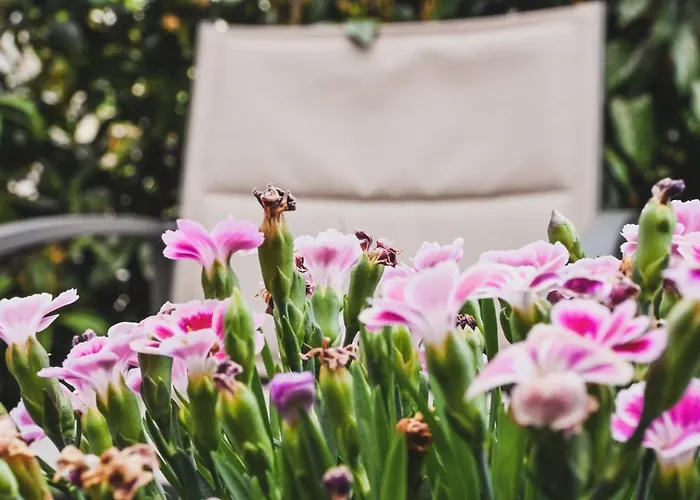 Sobe - R&k Habitación en casa particular *